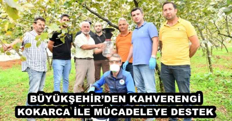 BÜYÜKŞEHİR’DEN KAHVERENGİ KOKARCA İLE MÜCADELEYE DESTEK