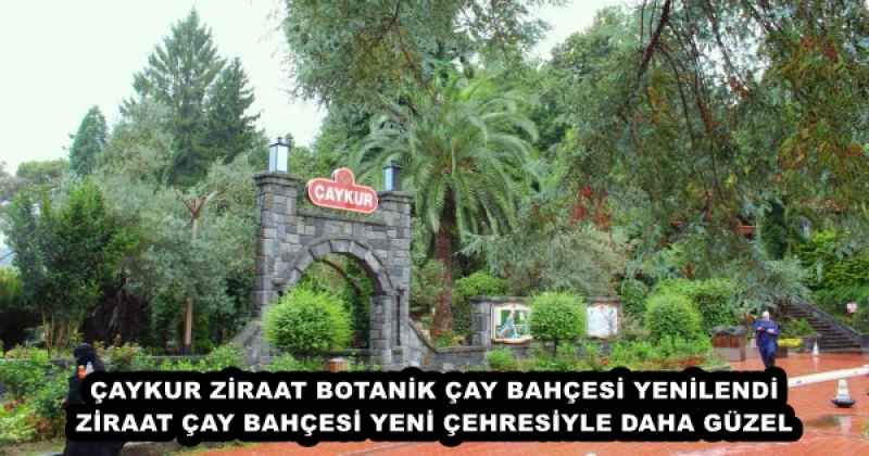 ÇAYKUR ZİRAAT BOTANİK ÇAY BAHÇESİ YENİLENDİ ZİRAAT ÇAY BAHÇESİ YENİ ÇEHRESİYLE DAHA GÜZEL