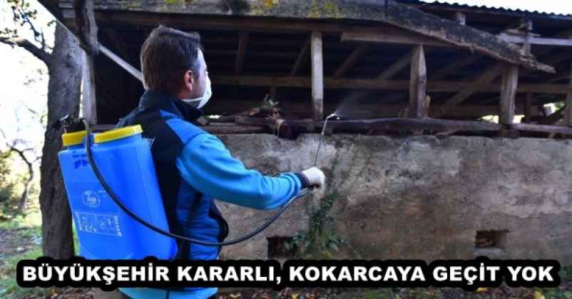 BÜYÜKŞEHİR KARARLI, KOKARCAYA GEÇİT YOK