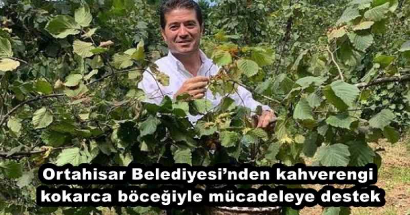 Ortahisar Belediyesi’nden kahverengi kokarca böceğiyle mücadeleye destek