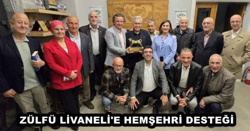 ZÜLFÜ LİVANELİ'E HEMŞEHRİ DESTEĞİ 