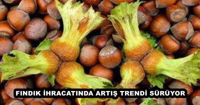 FINDIK İHRACATINDA ARTIŞ TRENDİ SÜRÜYOR