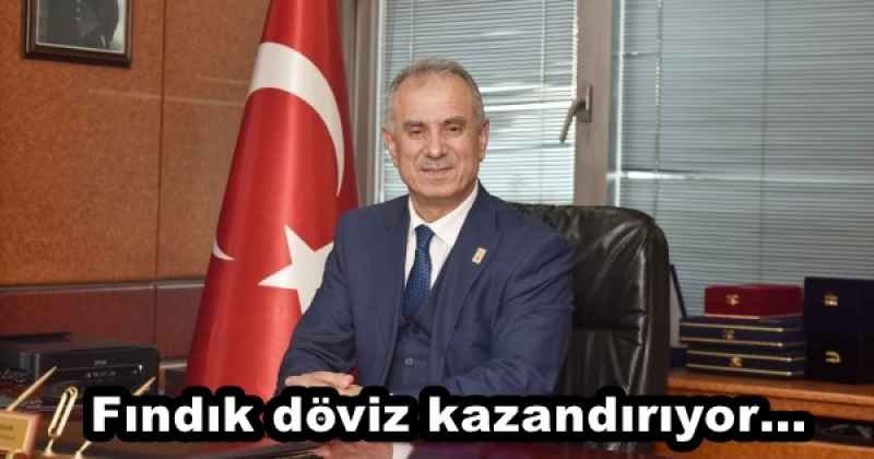 Fındık döviz kazandırıyor…