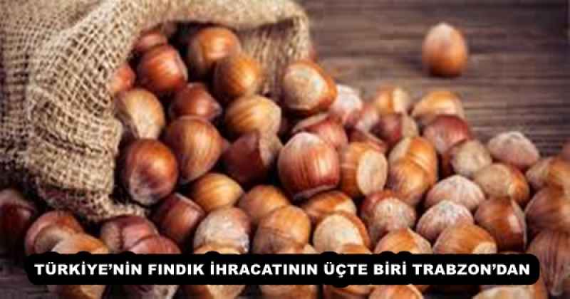 TÜRKİYE’NİN FINDIK İHRACATININ ÜÇTE BİRİ TRABZON’DAN