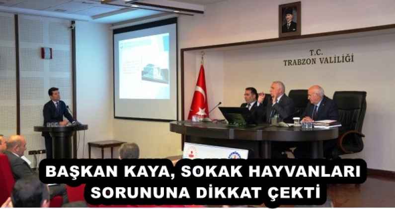 BAŞKAN KAYA, SOKAK HAYVANLARI SORUNUNA DİKKAT ÇEKTİ