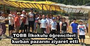 TOBB İlkokulu öğrencileri kurban pazarını ziyaret etti