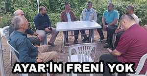 AYAR'İN FRENİ YOK