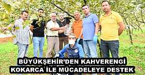 BÜYÜKŞEHİR’DEN KAHVERENGİ KOKARCA İLE MÜCADELEYE DESTEK