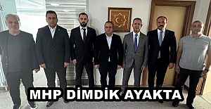 MHP DİMDİK AYAKTA