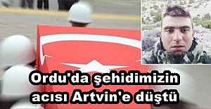 Ordu#039;da şehidimizin acısı Artvin#039;e...