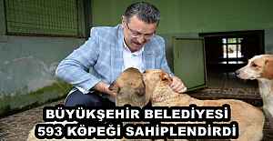 BÜYÜKŞEHİR BELEDİYESİ 593 KÖPEĞİ SAHİPLENDİRDİ