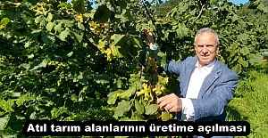 Atıl tarım alanlarının üretime...