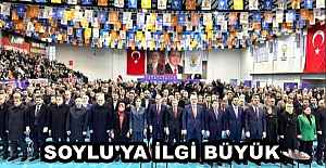 SOYLU'YA İLGİ BÜYÜK 