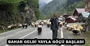 BAHAR GELDİ YAYLA GÖÇÜ BAŞLADI