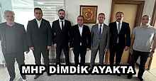 MHP DİMDİK AYAKTA