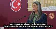 CHP TRABZON MİLLETVEKİLİ SUİÇMEZ: “KAHVERENGİ KOKARCAYA KARŞI NE BEKLENİYOR?“