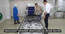 AKÇAHASAT TESİSİNDE ÜRÜN ALIMLARI DEVAM EDİYOR