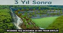 İKİZDERE TAŞ OCAĞINDA 29 BİN FİDAN DİKİLDİ