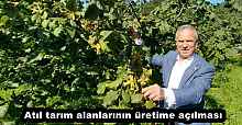 Atıl tarım alanlarının üretime açılması