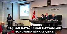BAŞKAN KAYA, SOKAK HAYVANLARI SORUNUNA DİKKAT ÇEKTİ
